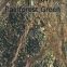 Мармур Rainforest Green