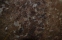 Граніт Brown antique