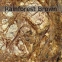 Мармур Rainforest Brown